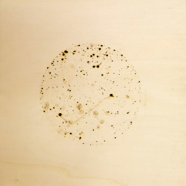 03 1
