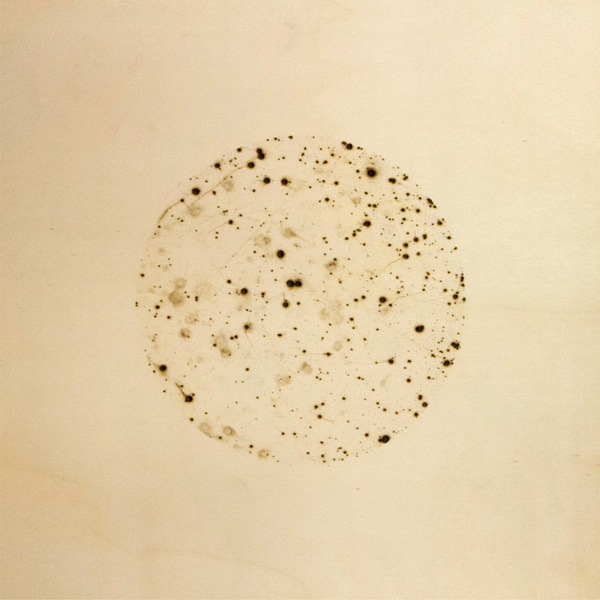 04 1