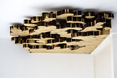 klein_MG_0372